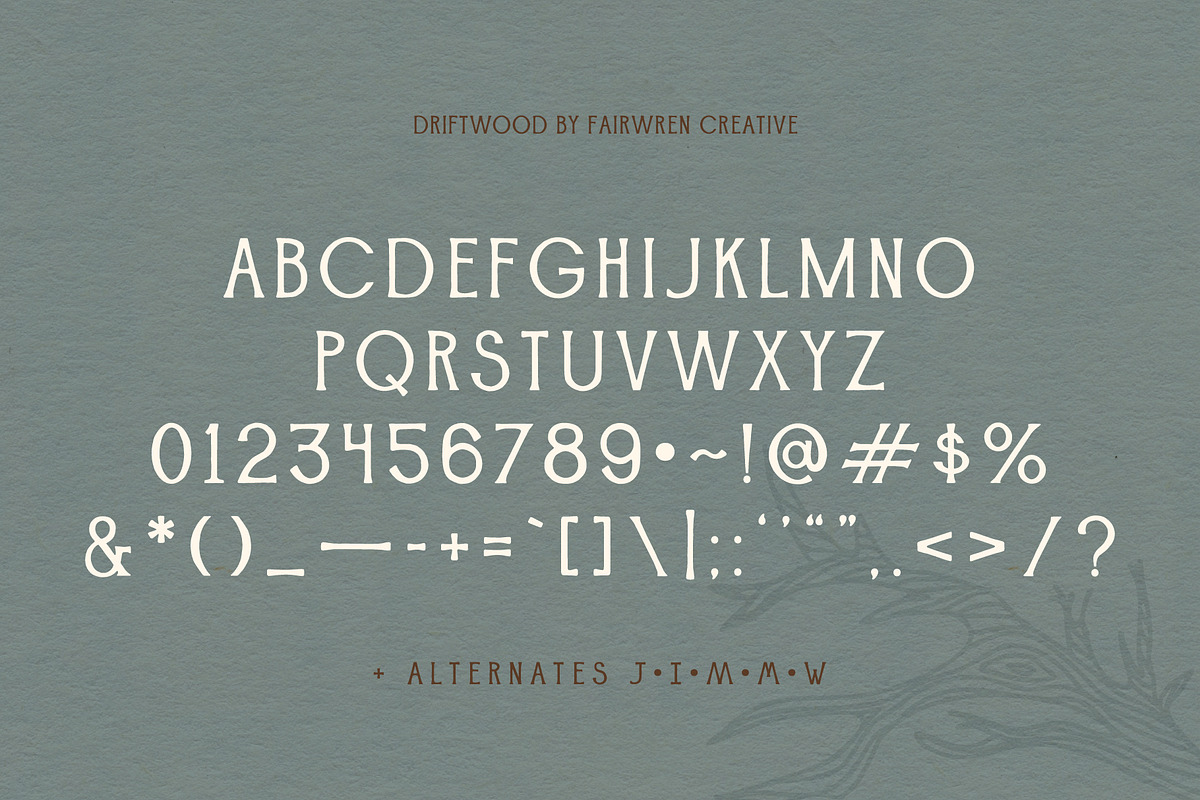 Driftwood, a Serif Font by Fairwren Creative (Photo 6 of 6)