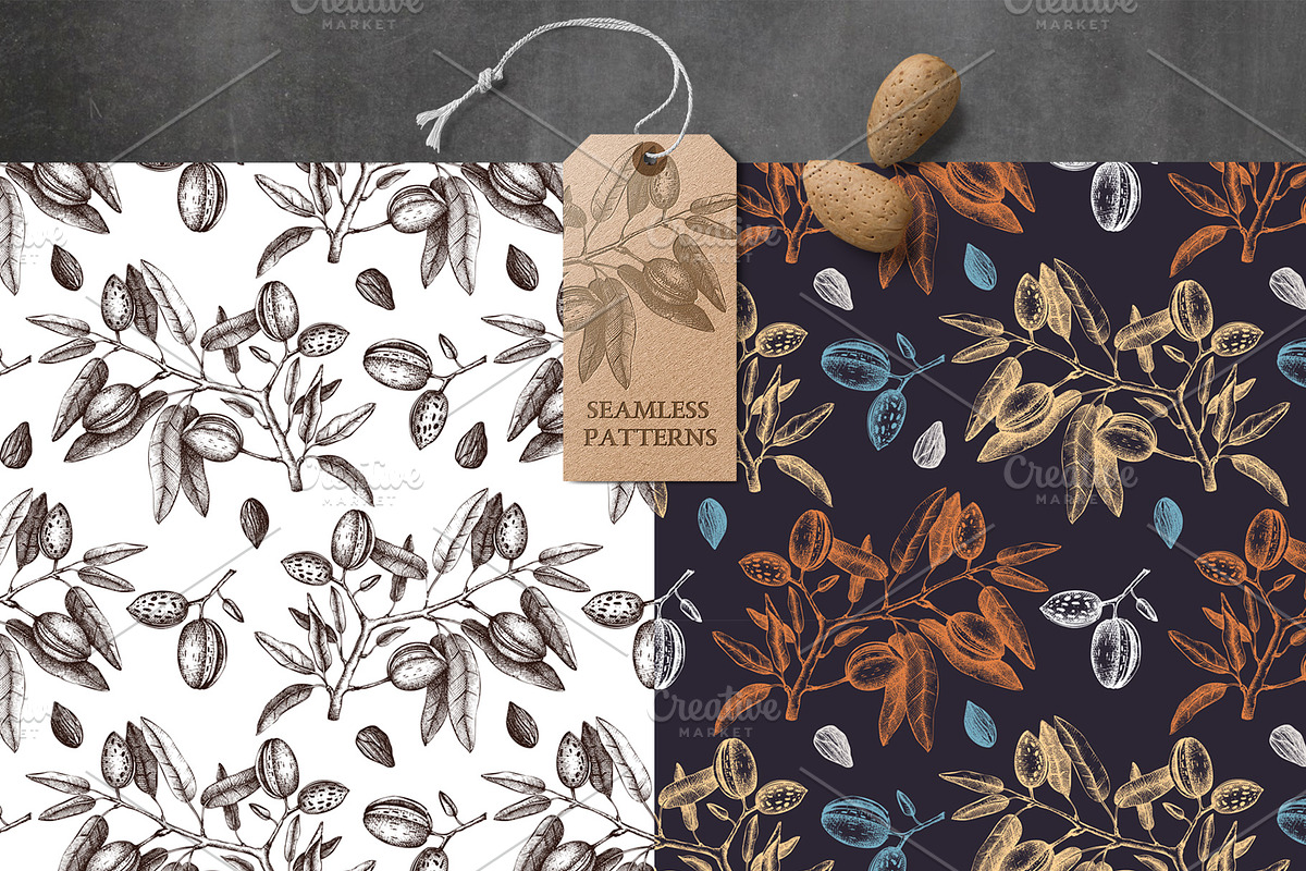 Hand-Drawn Nuts Sketches, a Food Illustration by Yevheniia (Photo 6 of 12)