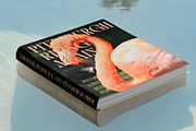 Qulight Modern Serif Display, a Serif Font by timelesstype.co (Thumbnail 11 of 20)
