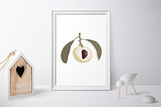 Longan - Set patterns, a Pattern Graphic by Yummy (Thumbnail 6 of 11)