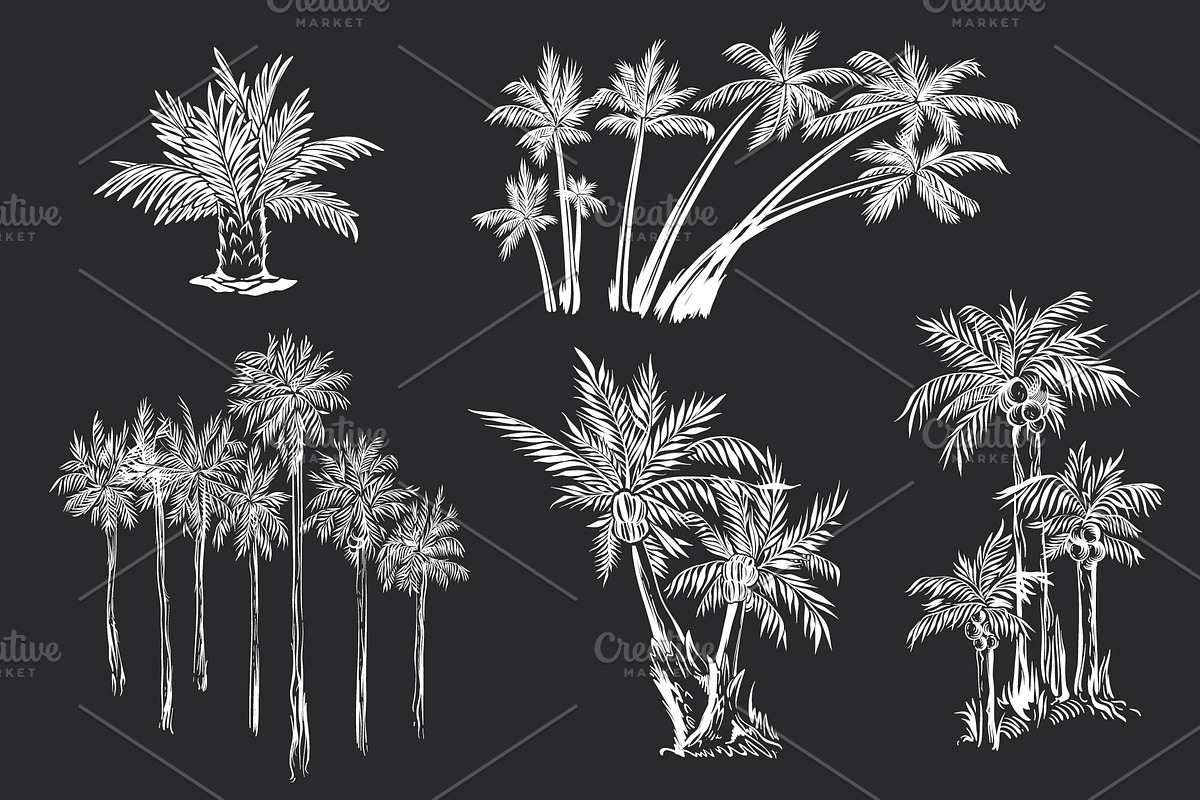 Palm Trees Drawings in Grunge Stylle, a Texture Illustration by Adiemus (Photo 7 of 7)