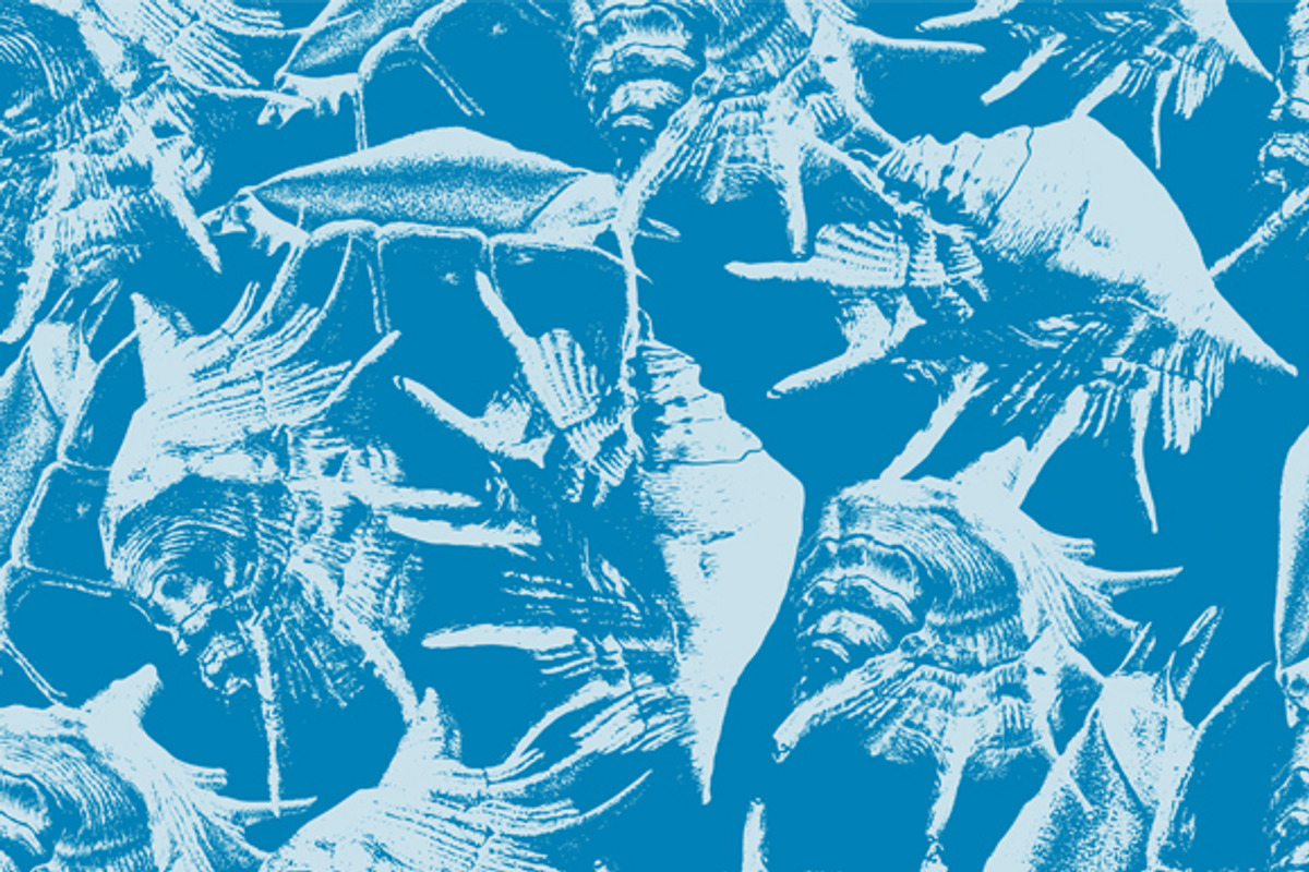 4 seamless patterns with shells, a Pattern Graphic by rednex