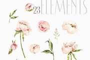 Peony inspiration Watercolor clipart, an Object Illustration by ArtMaslyana (Thumbnail 2 of 7)