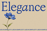 GG Hiro, a Serif Font by GG Design (Thumbnail 4 of 12)