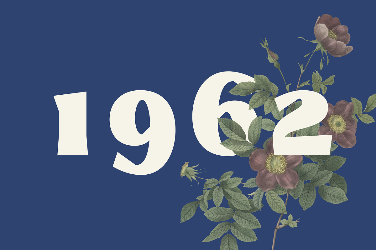 Marige - Modern Display Serif Font, a Serif Font by Zarma Type (Photo 9 of 12)