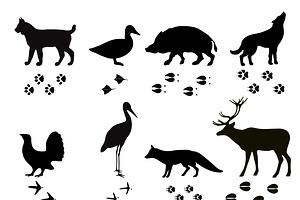 Wild Animals Vector Paw Footsteps