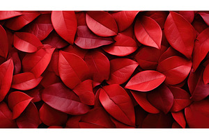 texture red seasonal wallpaper, an Abstract Photo by pikepicture