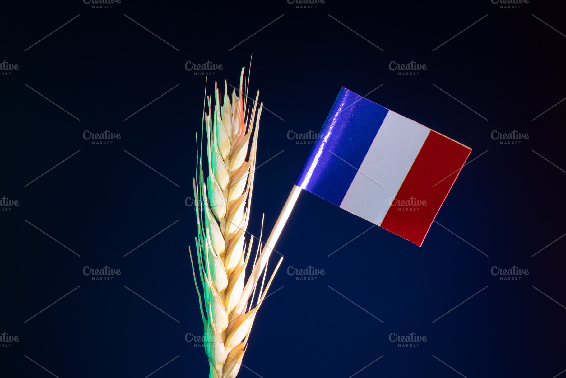 French flag on stick next to golden wheat spike against dark blu, a Background Photo by Ales Munt
