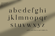 Along Serif BSC Font Family, a Serif Font by Ryul Davidson (Thumbnail 6 of 13)