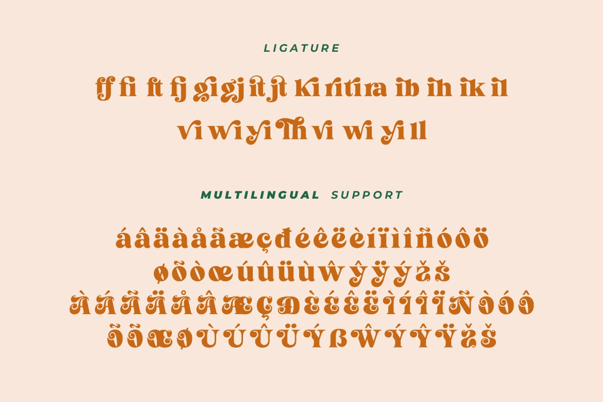 City Mango - Retro Serif Font, a Serif Font by HansCo Studio (Photo 14 of 17)