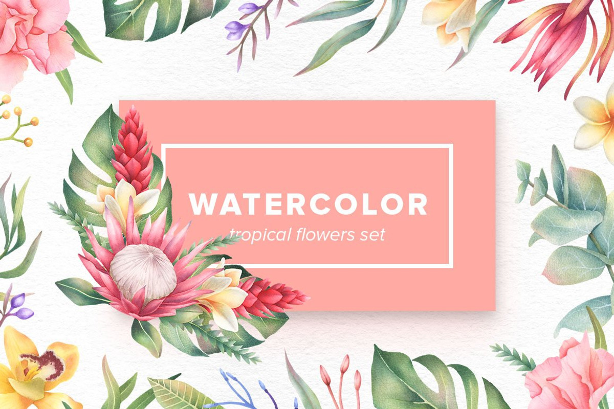 Watercolor Floral Bundle, an Object Illustration by Kotulska (Photo 13 of 21)
