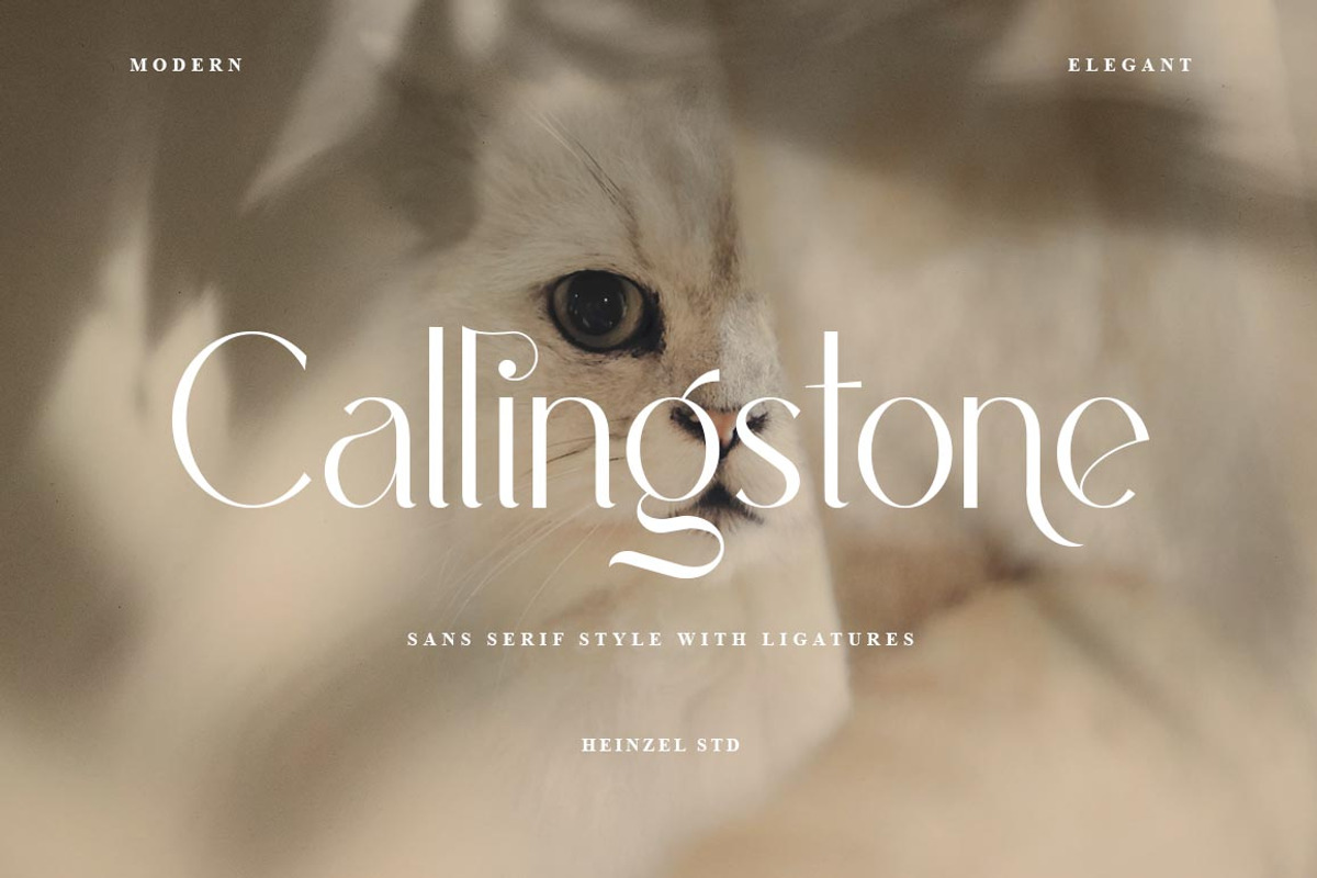 Font Bundles | Serif and Sans Serif, a Sans Serif Font by Heinzel Std (Photo 3 of 9)