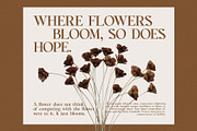 Cagier - Elegant Display Font, a Serif Font by Graphicxell (Thumbnail 5 of 8)