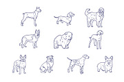 Dog Breeds Hand Drawn Illustration, an Animal Illustration by SLAB! Design (Thumbnail 2 of 3)