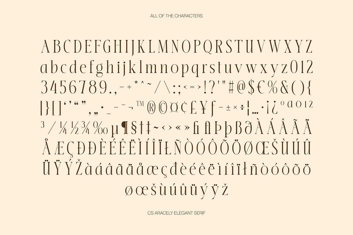 CS Aracely – Elegant Serif Font, a Serif Font by Craft Supply Co. (Photo 8 of 8)