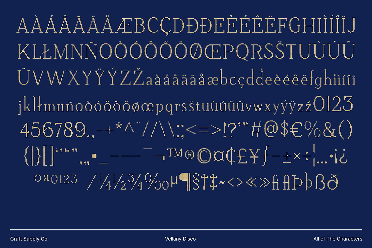 Vellany Disco, a Serif Font by Craft Supply Co. (Photo 8 of 8)