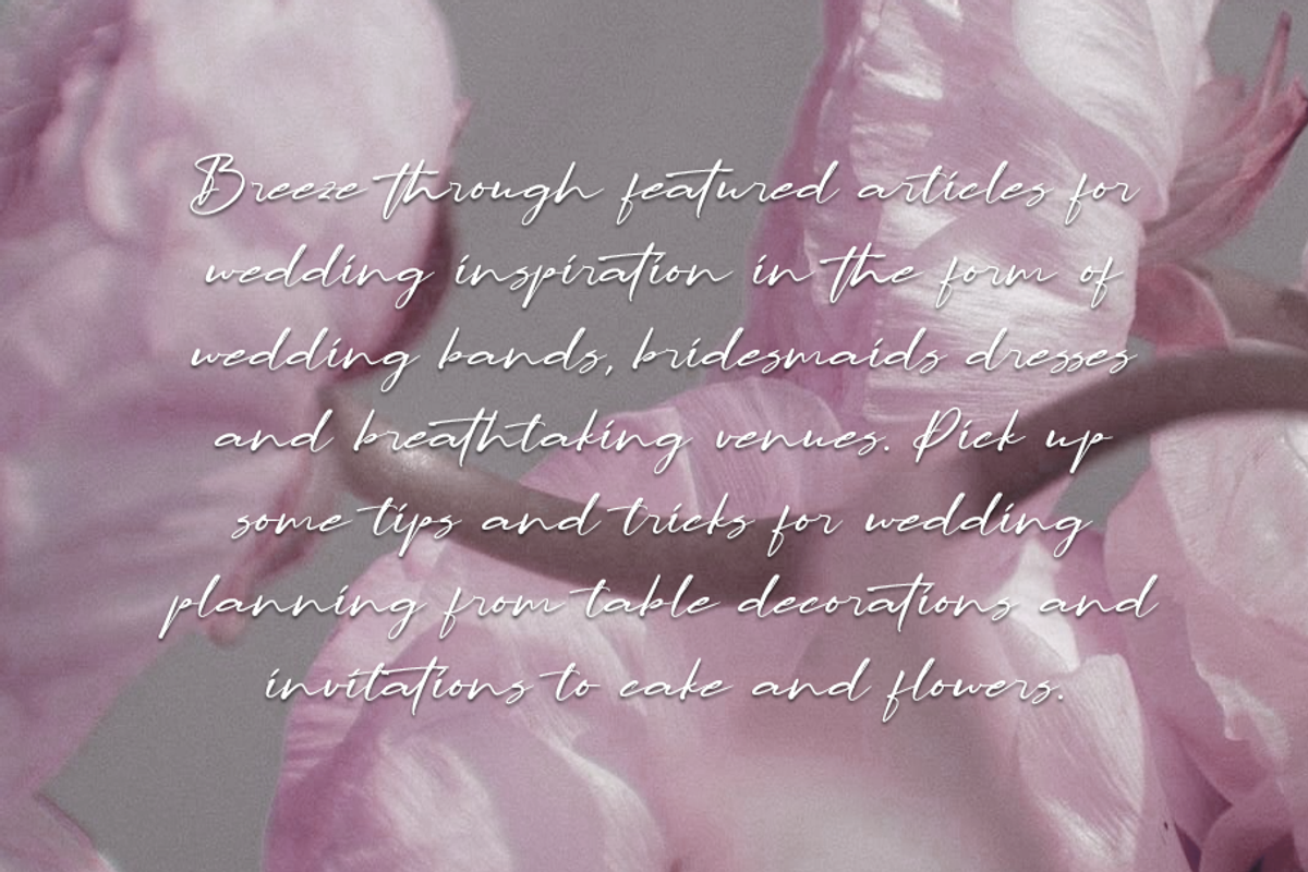 Lapierro Script, a Script Font by GlottaTypeface (Photo 3 of 8)