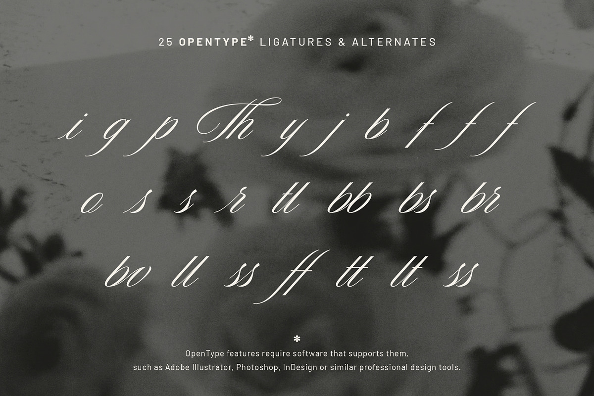 Editorial Society - Luxury Font Duo, a Script Font by Davide Bassu (Photo 28 of 34)