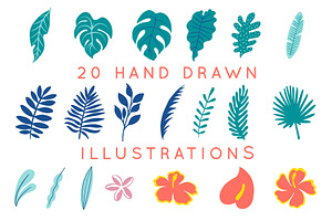 Tropical Illustrations