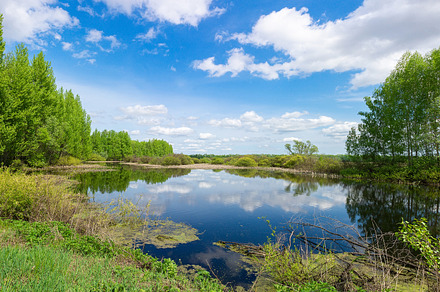 Bright summer panoramic landscape wi, a Nature Photo by AlexBush