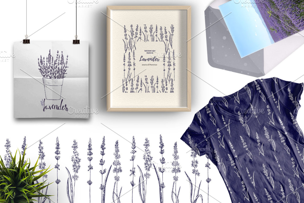 Lavender in Provence, an Illustration by TashaDraw (Photo 3 of 8)