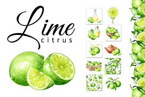 Lime citrus. Watercolor collection, a Food Illustration by Daria Ustiugova