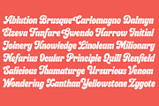 Budge, a Sans Serif Font by Flavortype (Thumbnail 9 of 20)