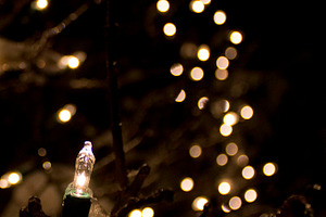Holiday Light Bokeh