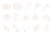 Bronte | Botanical set | 280+ images, an Illustration by Karma (Thumbnail 27 of 39)