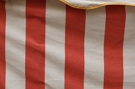 Tent 5 featuring tent, cloth, and fair
