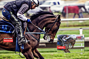 750+ Photographers Choice Actions, an Action Add-On by Design Forest (Thumbnail 3 of 38)
