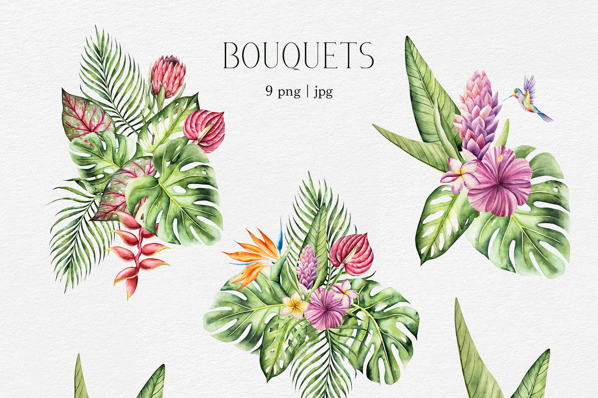 TROPICAL FOREST - Watercolor set, an Animal Illustration by Navenzeles (Photo 4 of 16)