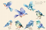 Watercolor Blue Tit Bird Nature Set, an Animal Illustration by Dazzling Art Boutique (Thumbnail 2 of 10)