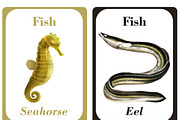 Printable Fish Learning Cards, a Card Template by DigitalsDesigns (Thumbnail 4 of 5)
