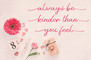 melisa, a Script Font by AMINMARIO (Thumbnail 4 of 12)