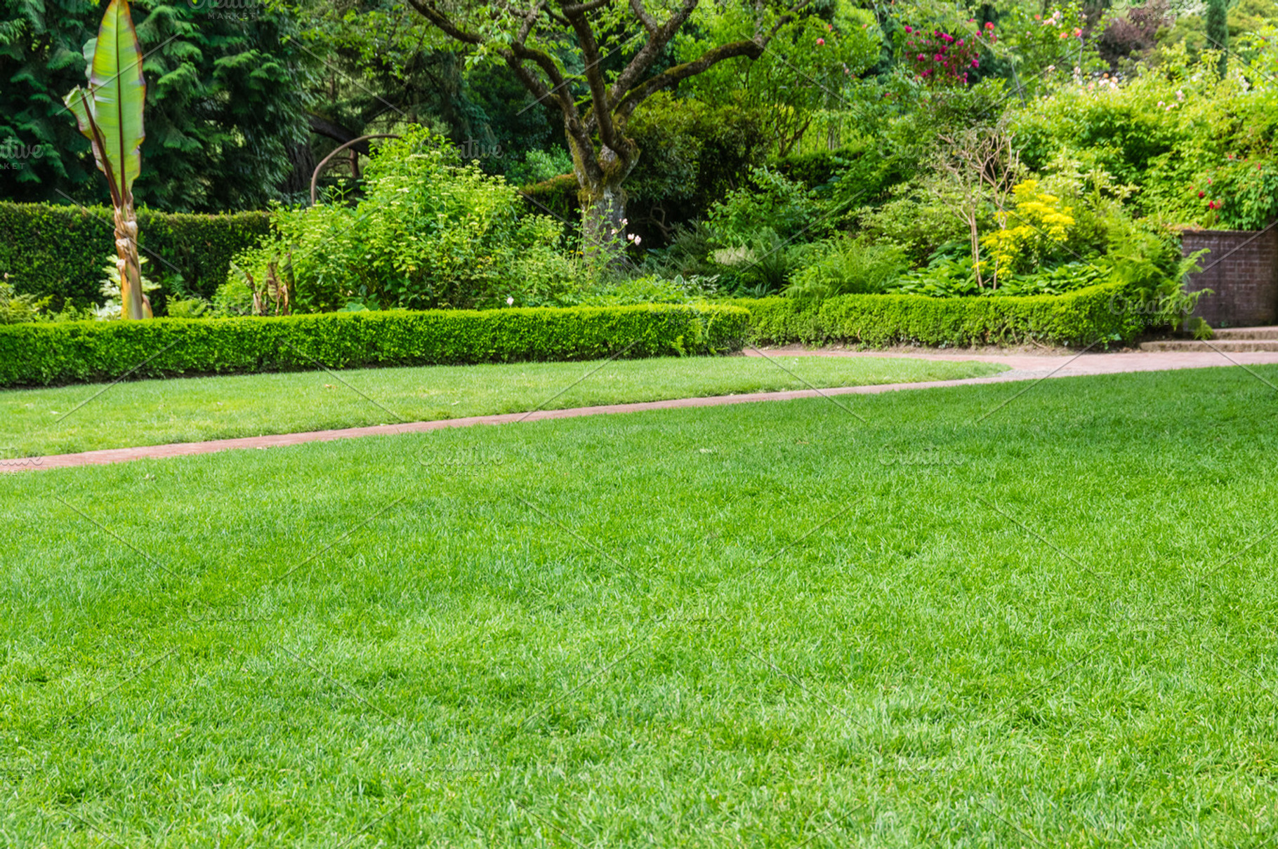 Grassy Lawn And Planted Beds