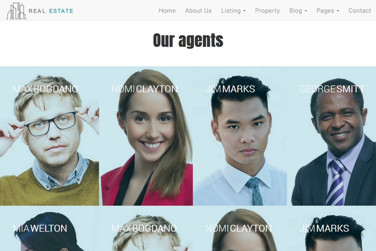 Real Estate Theme - Dream House, a Bootstrap Template by Verane (Photo 7 of 7)