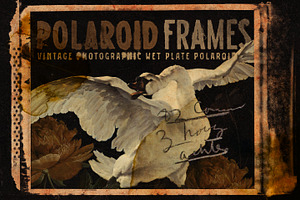 Polaroid Frames, a Texture Graphic by Misprinted Type