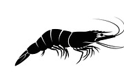 Ocean Marine Animal Silhouette, an Illustration by Amazin_art (Thumbnail 4 of 31)