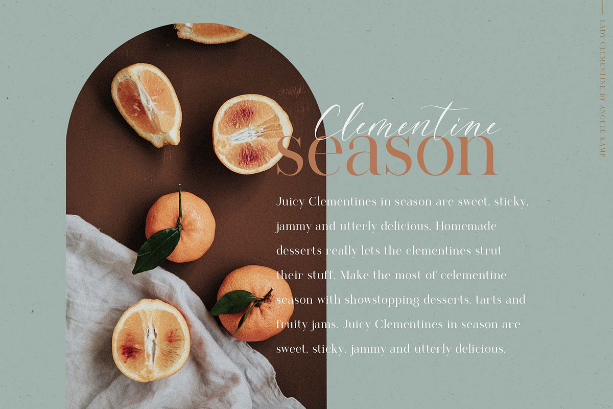Lady Clementine wedding script fonts, a Serif Font by Angele Kamp (Photo 3 of 10)