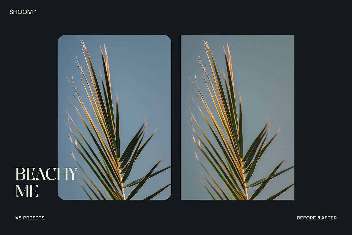 Beachy Me – 8 Chic Lightroom Presets, a Preset Add-On by SHOOM HOUSE (Photo 5 of 10)