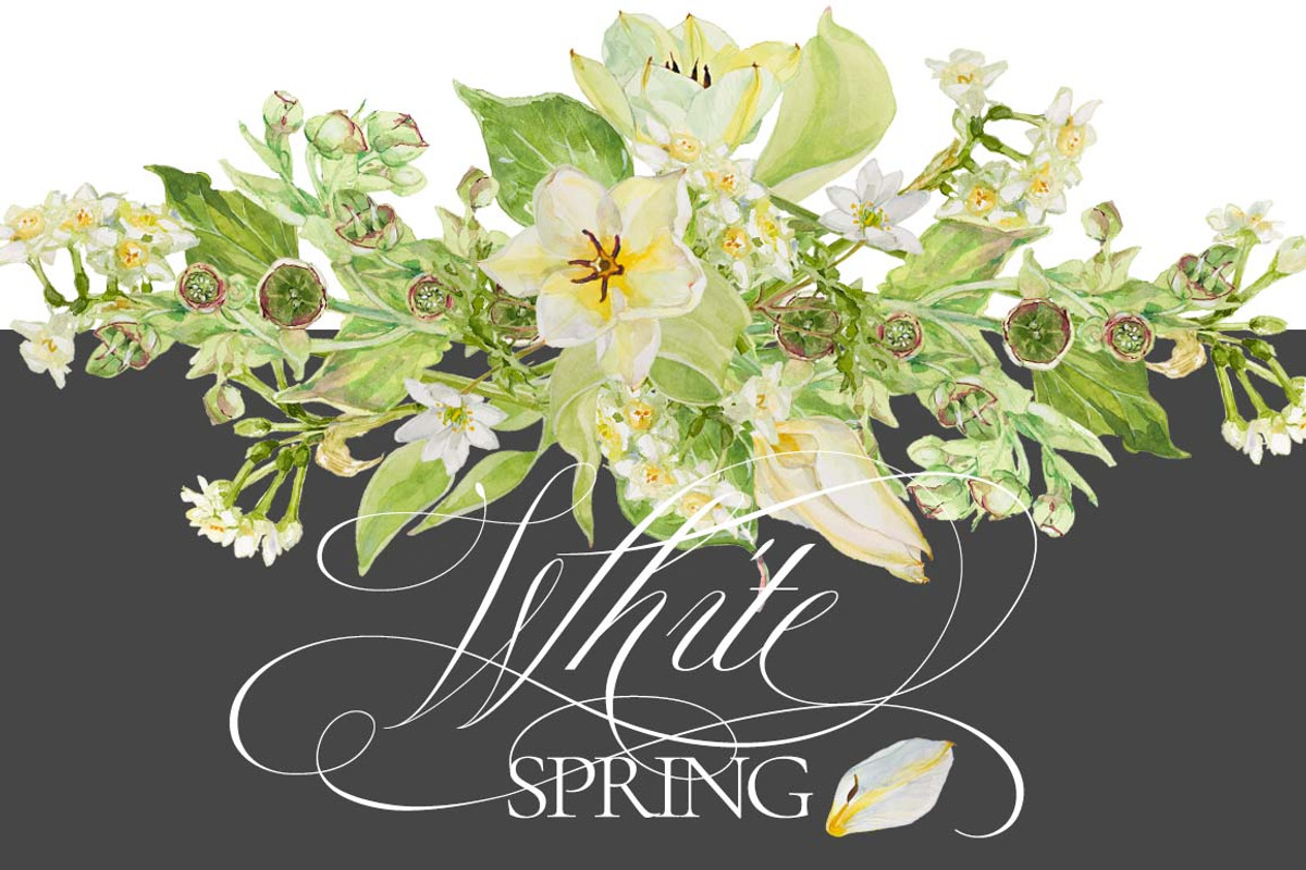 White Bouquets&Wreaths in watercolor, an Illustration by watercolorwild.graphics (Photo 12 of 14)