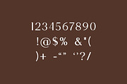 Aishwarya Luxury Serif Font, a Serif Font by UICreative (Thumbnail 6 of 12)
