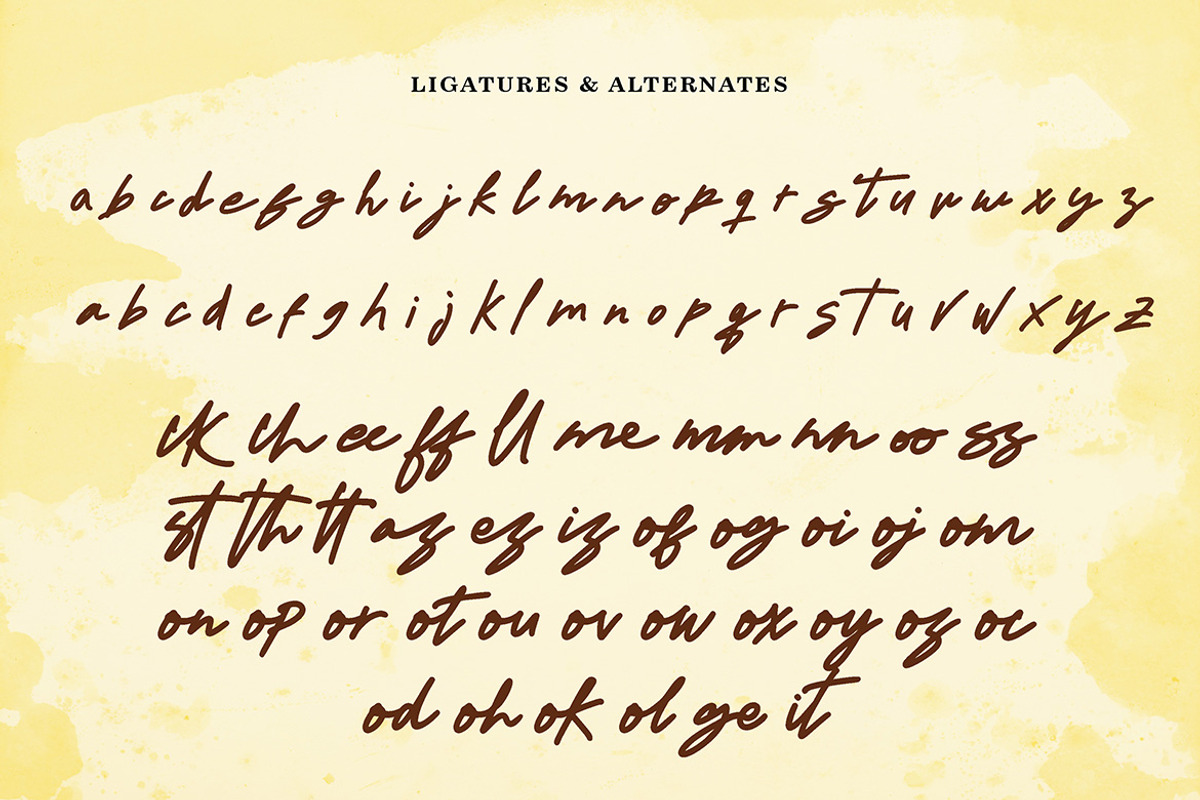 Deliorez Signature, a Handwritten Font by Eltypesstudio (Photo 4 of 12)