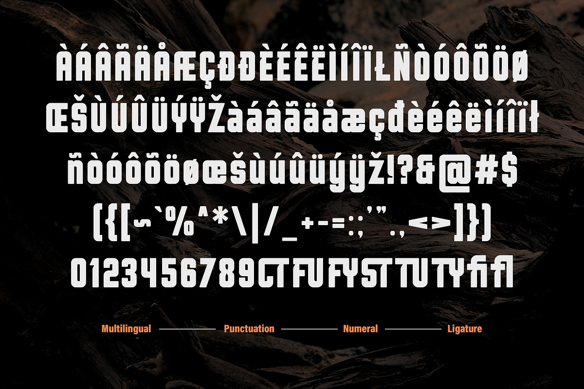 Brodhera - Bold Condensed Sans Font, a Sans Serif Font by Typia Nesia (Photo 2 of 12)