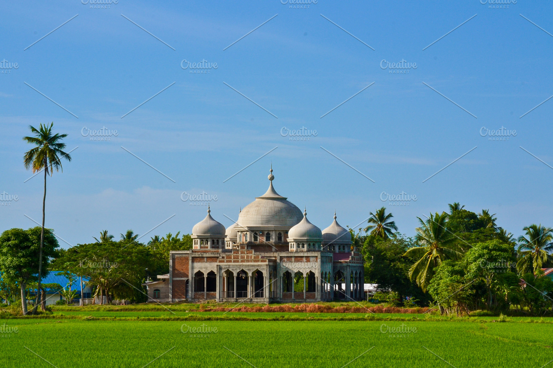 Mosque in the Middle of Rice Fields, an Architecture Photo by bastera