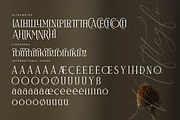 Naftegfo A New Modern Serif, a Serif Font by Storytype Studio (Thumbnail 13 of 15)