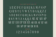 Scarfi Modern All Caps Serif, a Serif Font by timelesstype.co (Thumbnail 19 of 20)