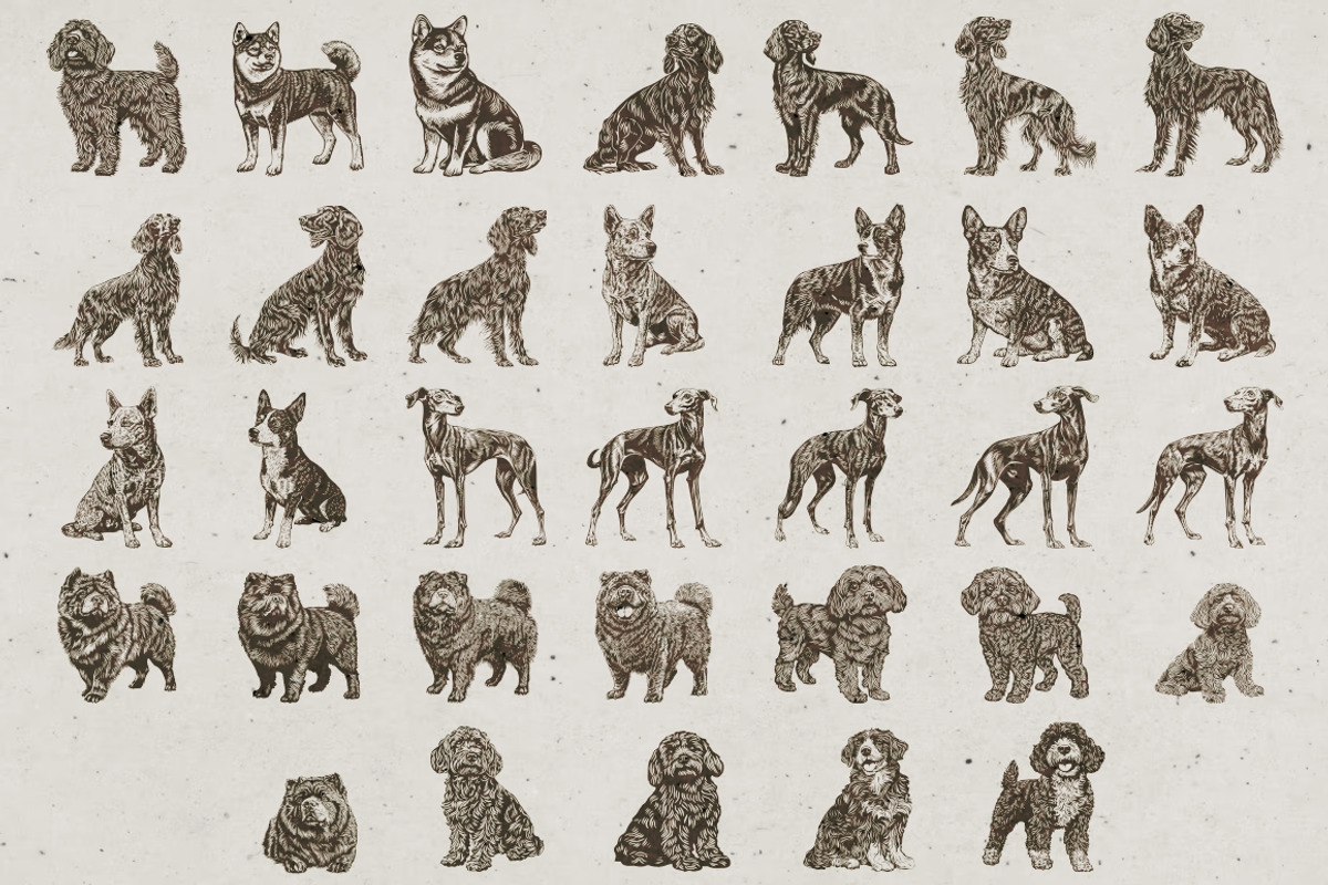 215 Dog Illustrations, an Animal Illustration by Nocturnal Wolf (Photo 13 of 14)