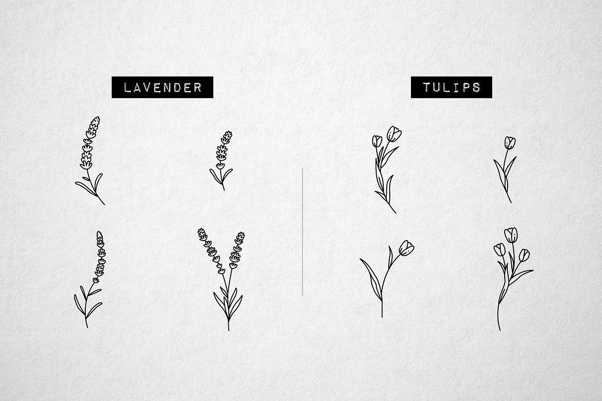 60 Flower and Floral Icons - Vol 2, an Outline Icon by Hatch Design Workshop (Photo 5 of 10)